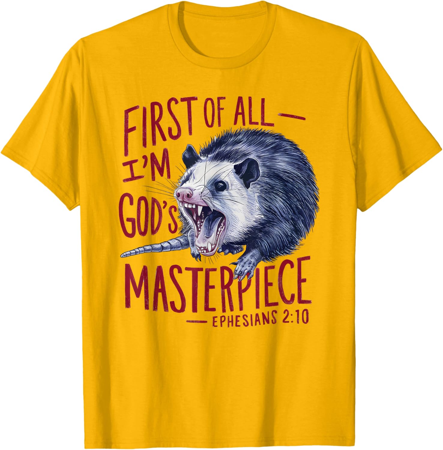 Funny Raccoon T-Shirt I'm God's Masterpiece Gift for Animal Lovers - 13