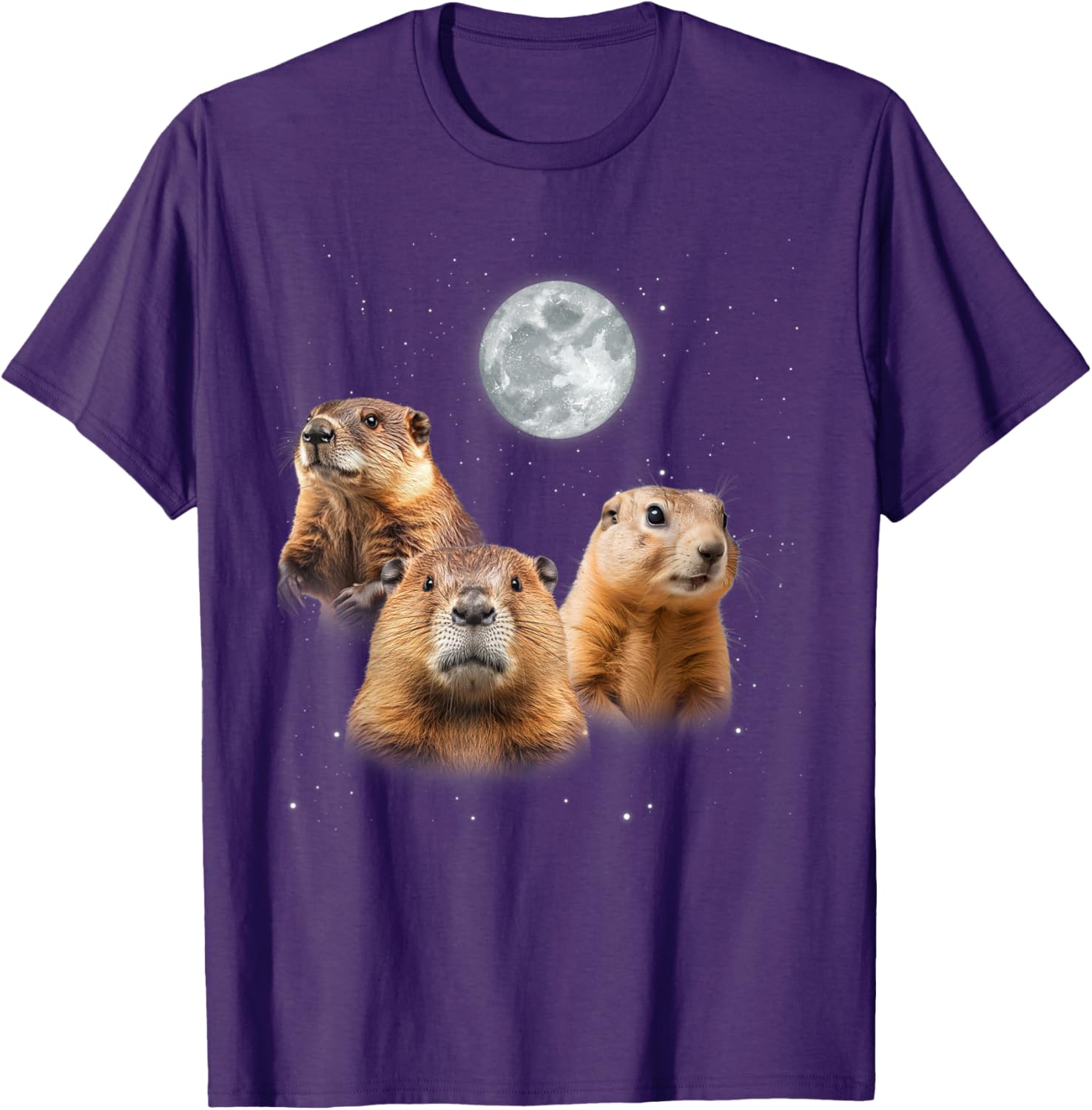 Funny Groundhog Day T-Shirt with Three Groundhog Faces for Fun Celebrations - 10