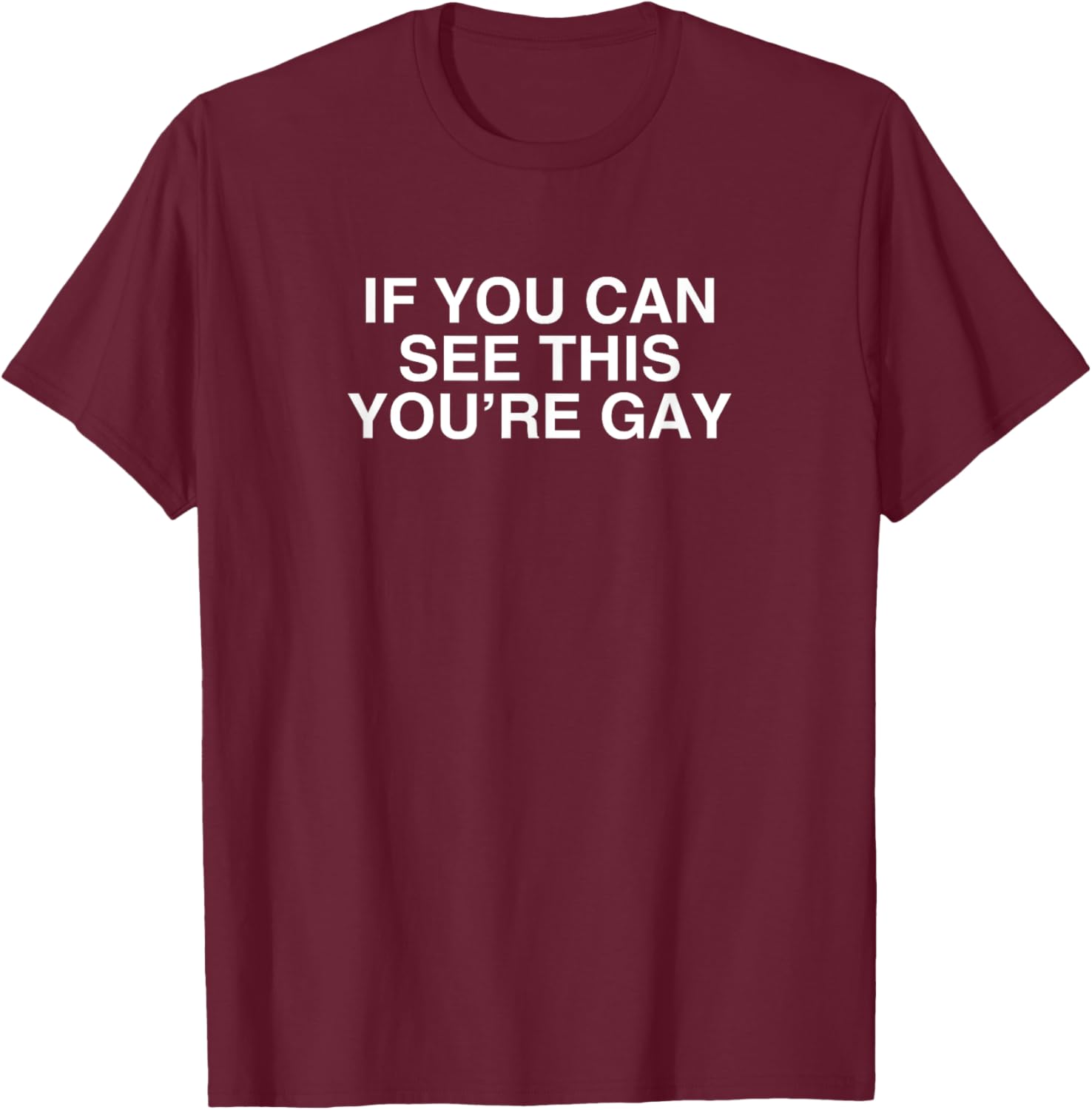 Funny Gay Pride Meme T-Shirt If You Can See This You're Gay LGBT Apparel - 6