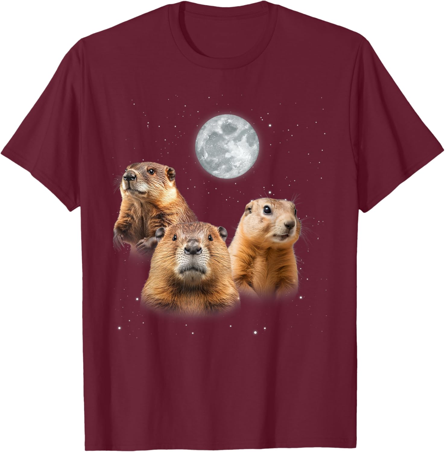 Funny Groundhog Day T-Shirt with Three Groundhog Faces for Fun Celebrations - 16