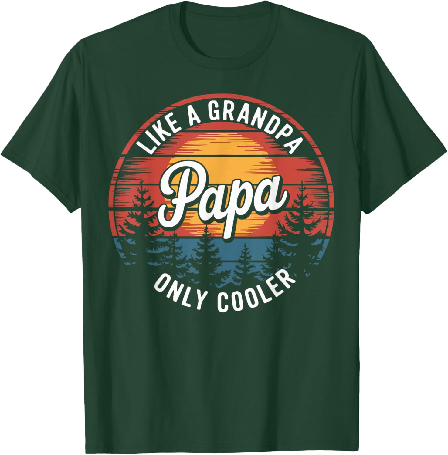 Cool Funny Dad T-Shirt Papa Like A Grandpa Definition Gift for Fathers - 9