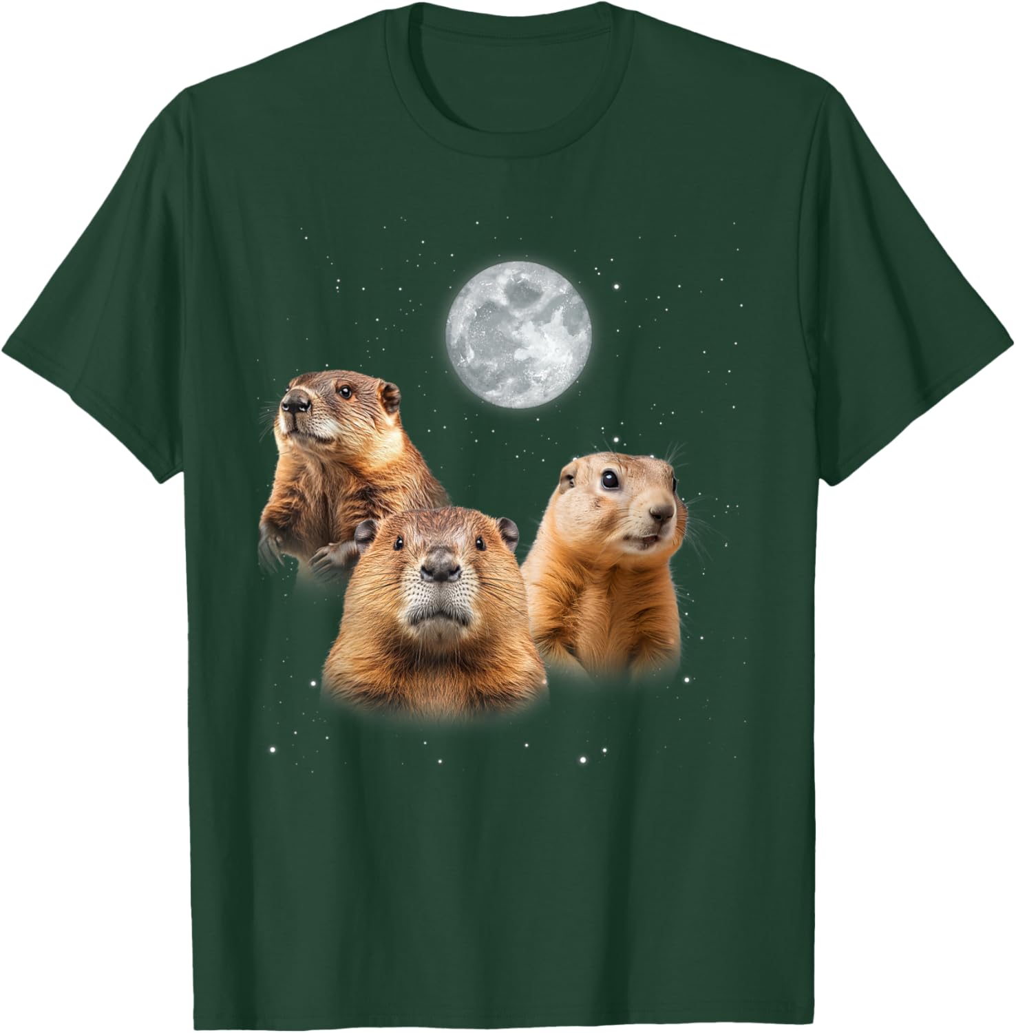 Funny Groundhog Day T-Shirt with Three Groundhog Faces for Fun Celebrations - 11