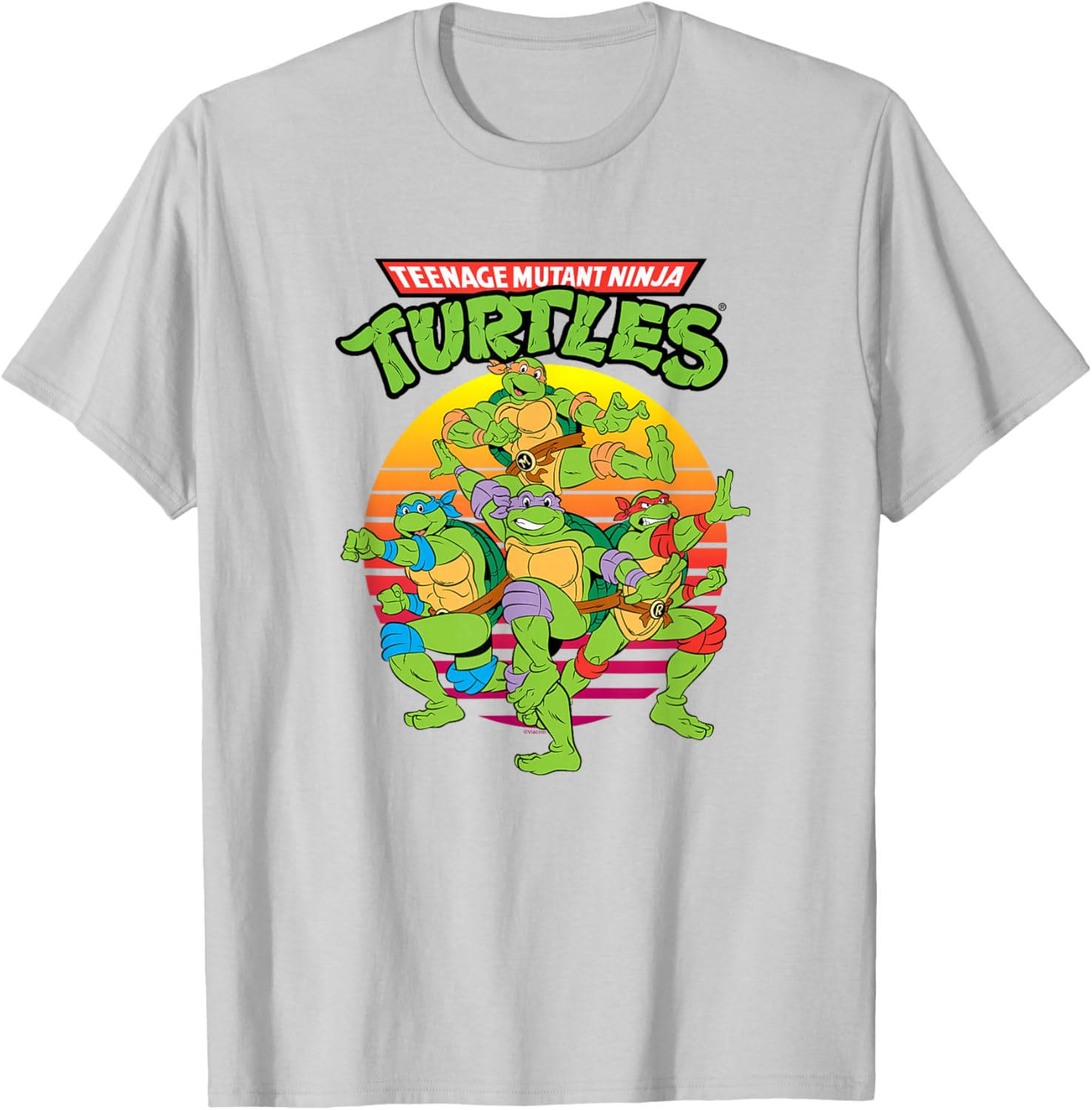 Teenage Mutant Ninja Turtles Group T-Shirt for Kids and Teens - 12