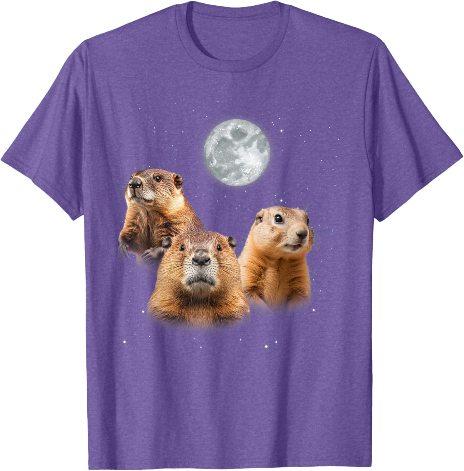 Funny Groundhog Day T-Shirt with Three Groundhog Faces for Fun Celebrations - 8