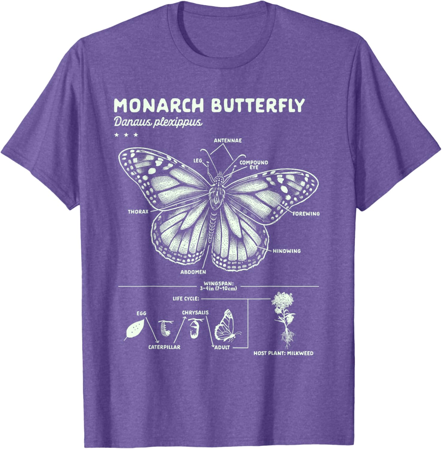 Butterfly Lover Monarch Butterfly Anatomy T-Shirt for Insect Enthusiasts - 13