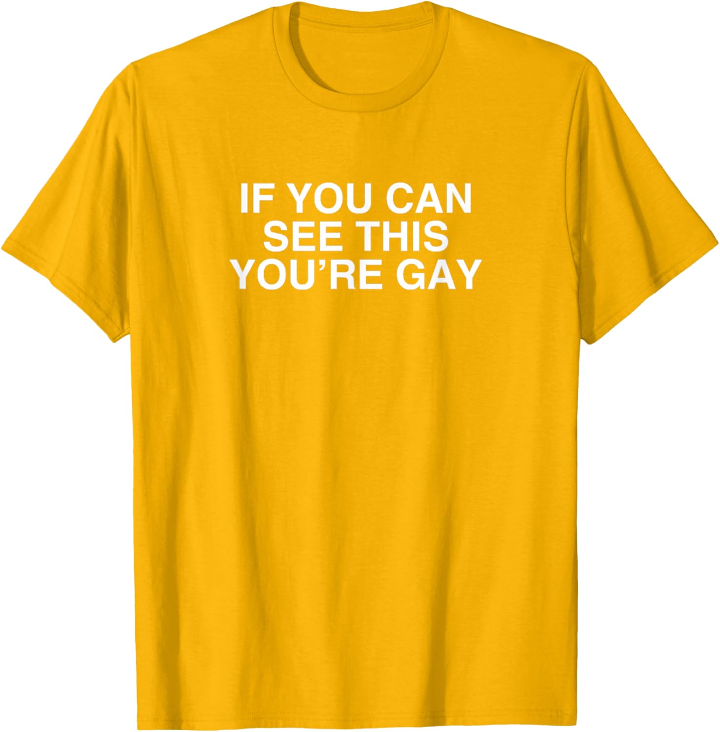 Funny Gay Pride Meme T-Shirt If You Can See This You're Gay LGBT Apparel - 10