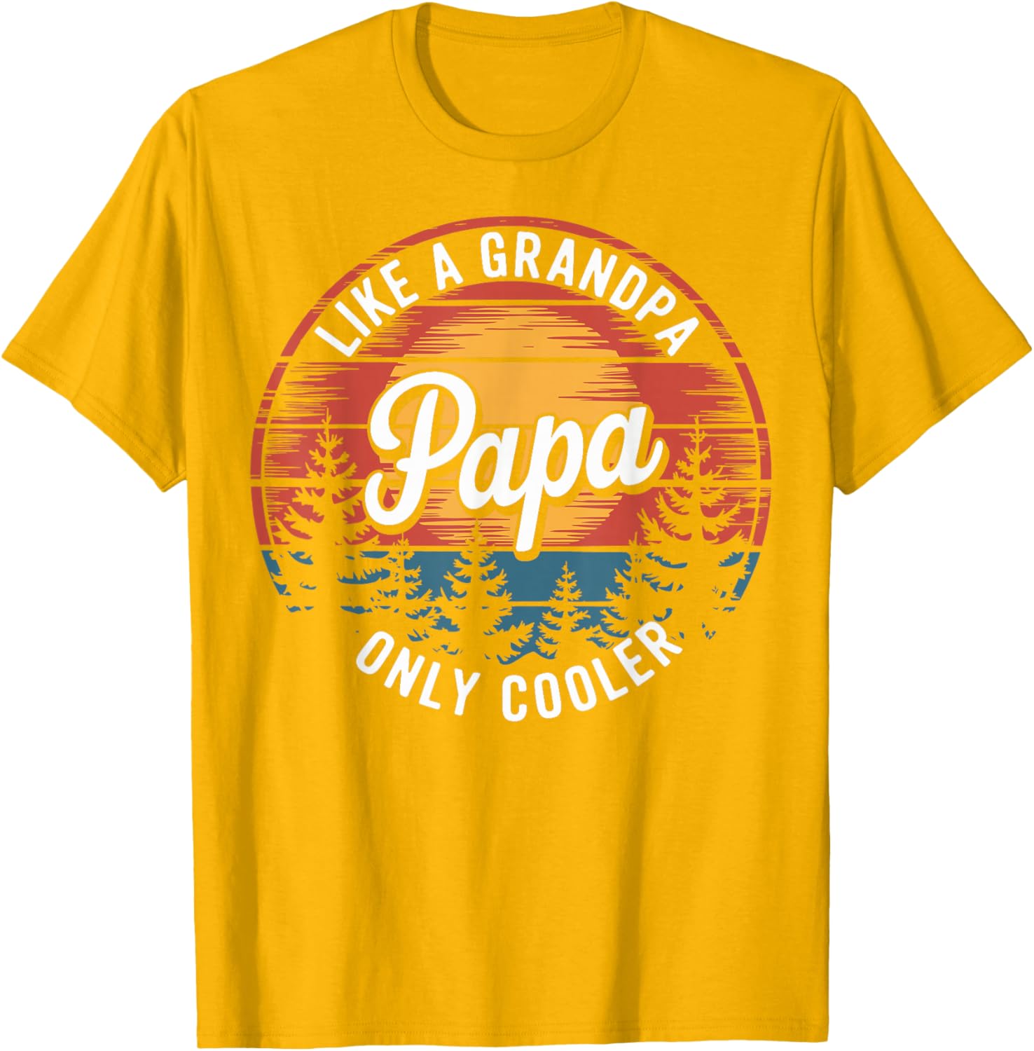 Cool Funny Dad T-Shirt Papa Like A Grandpa Definition Gift for Fathers - 10