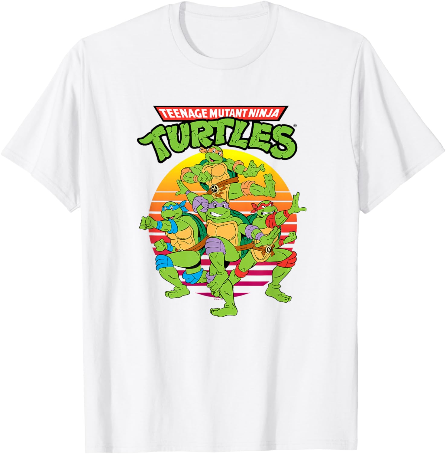 Teenage Mutant Ninja Turtles Group T-Shirt for Kids and Teens - 5