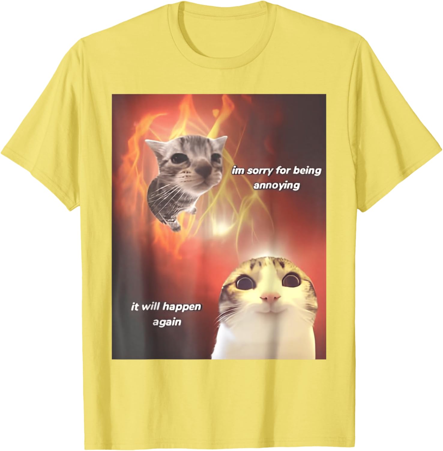 I'm Sorry For Being Annoying Cat T-Shirt for All Ages and Genders - 11