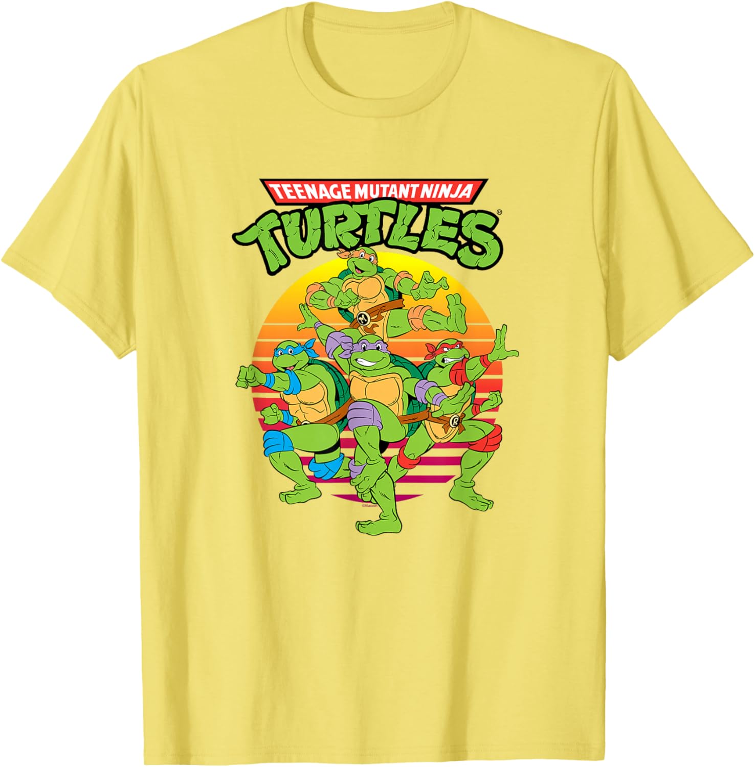 Teenage Mutant Ninja Turtles Group T-Shirt for Kids and Teens - 19