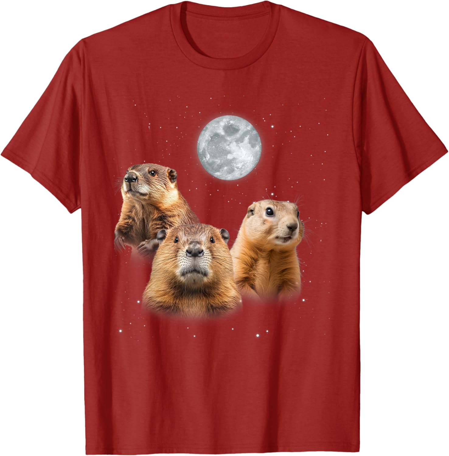 Funny Groundhog Day T-Shirt with Three Groundhog Faces for Fun Celebrations - 18