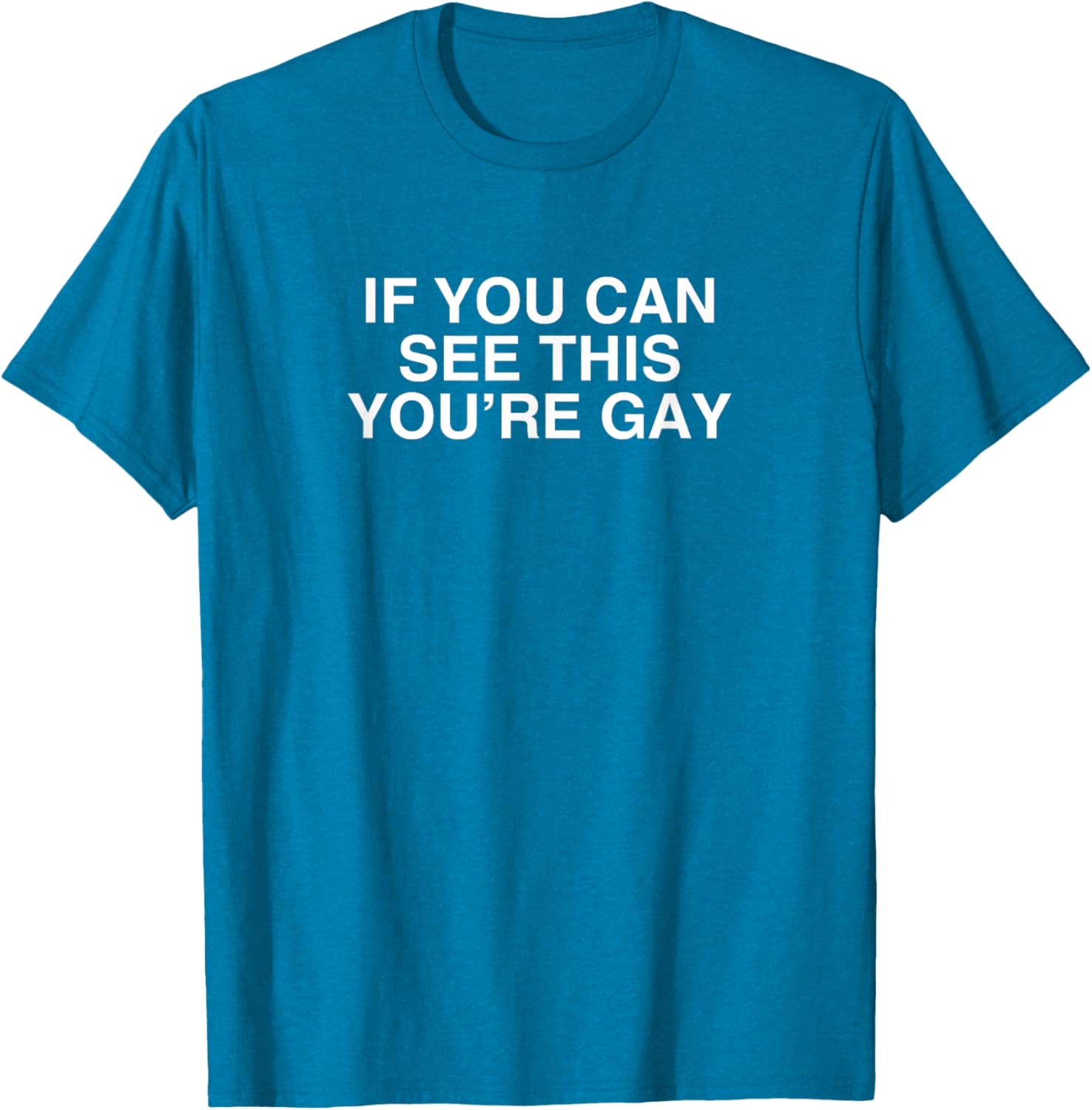 Funny Gay Pride Meme T-Shirt If You Can See This You're Gay LGBT Apparel - 11
