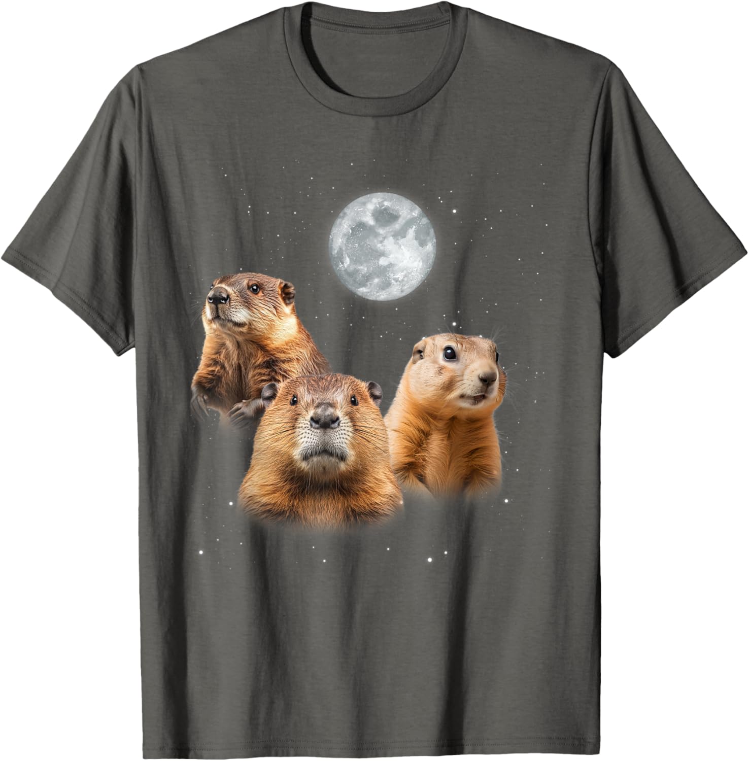Funny Groundhog Day T-Shirt with Three Groundhog Faces for Fun Celebrations - 6