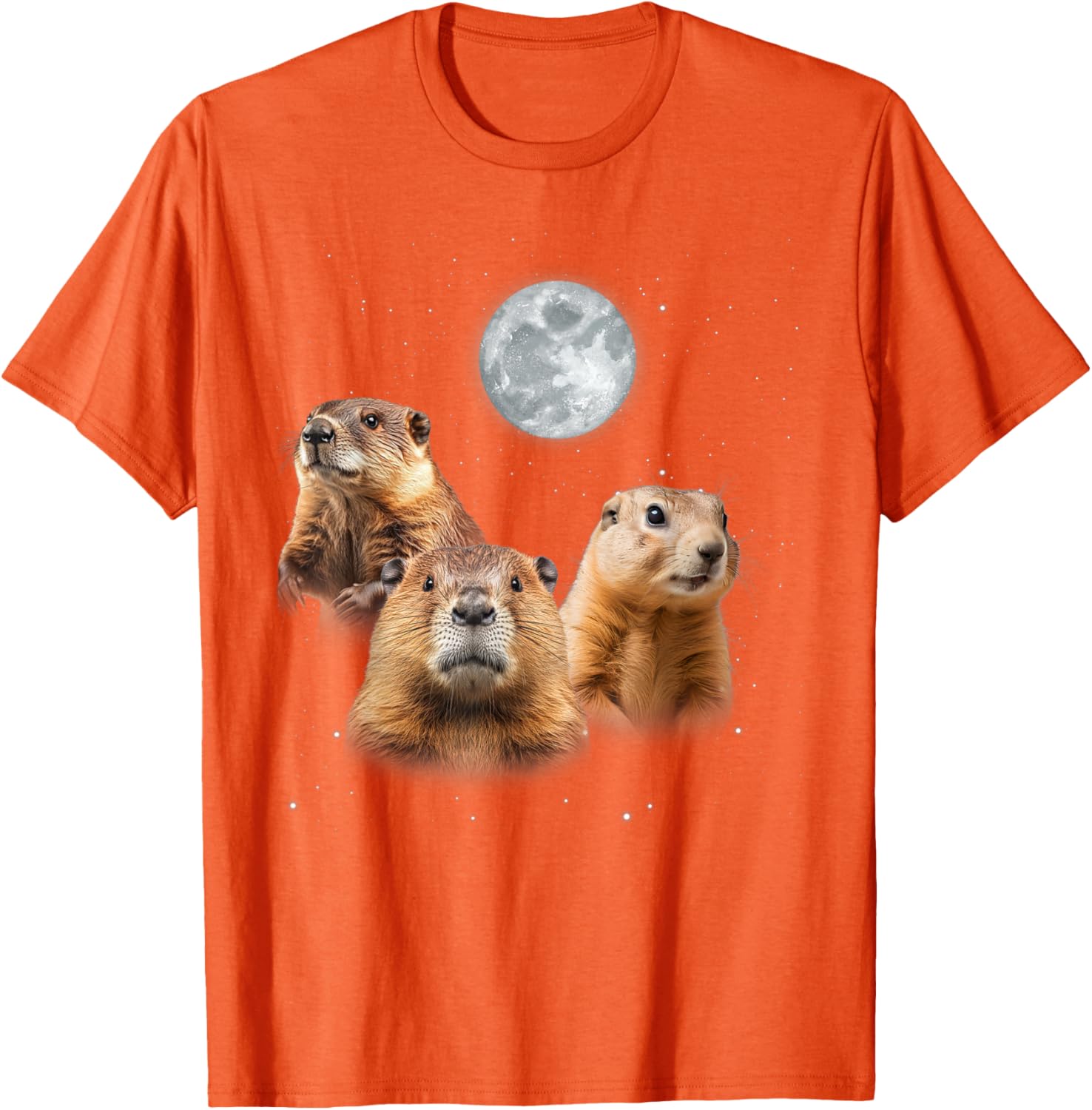 Funny Groundhog Day T-Shirt with Three Groundhog Faces for Fun Celebrations - 15