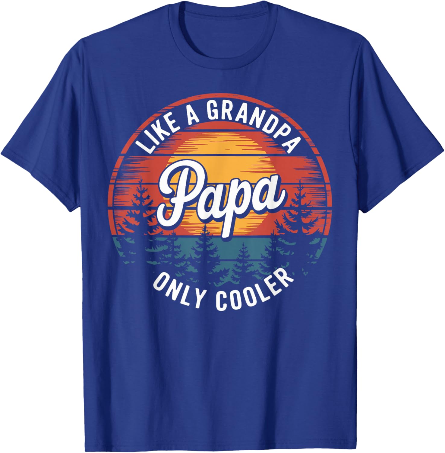 Cool Funny Dad T-Shirt Papa Like A Grandpa Definition Gift for Fathers - 11
