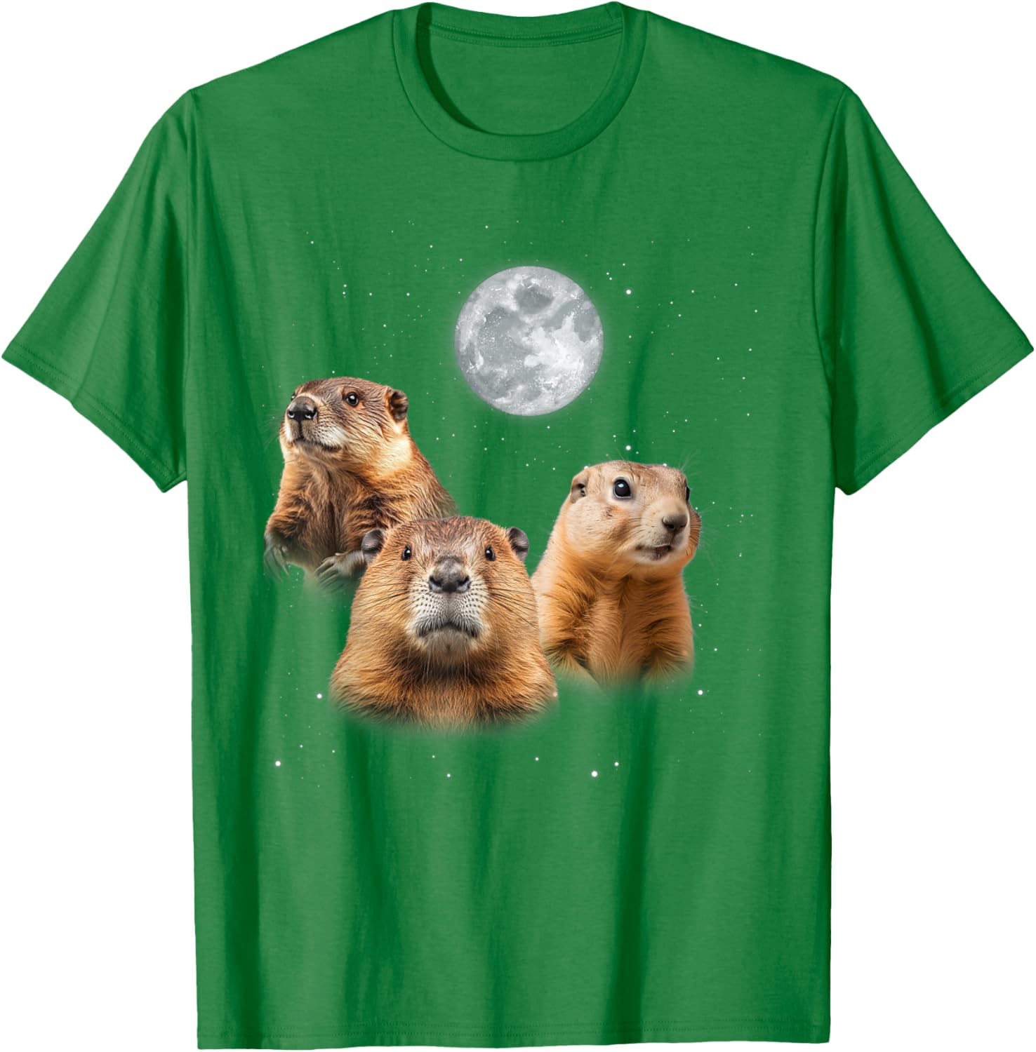 Funny Groundhog Day T-Shirt with Three Groundhog Faces for Fun Celebrations - 13