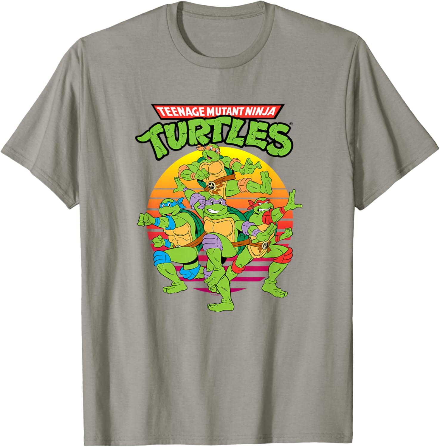 Teenage Mutant Ninja Turtles Group T-Shirt for Kids and Teens - 13