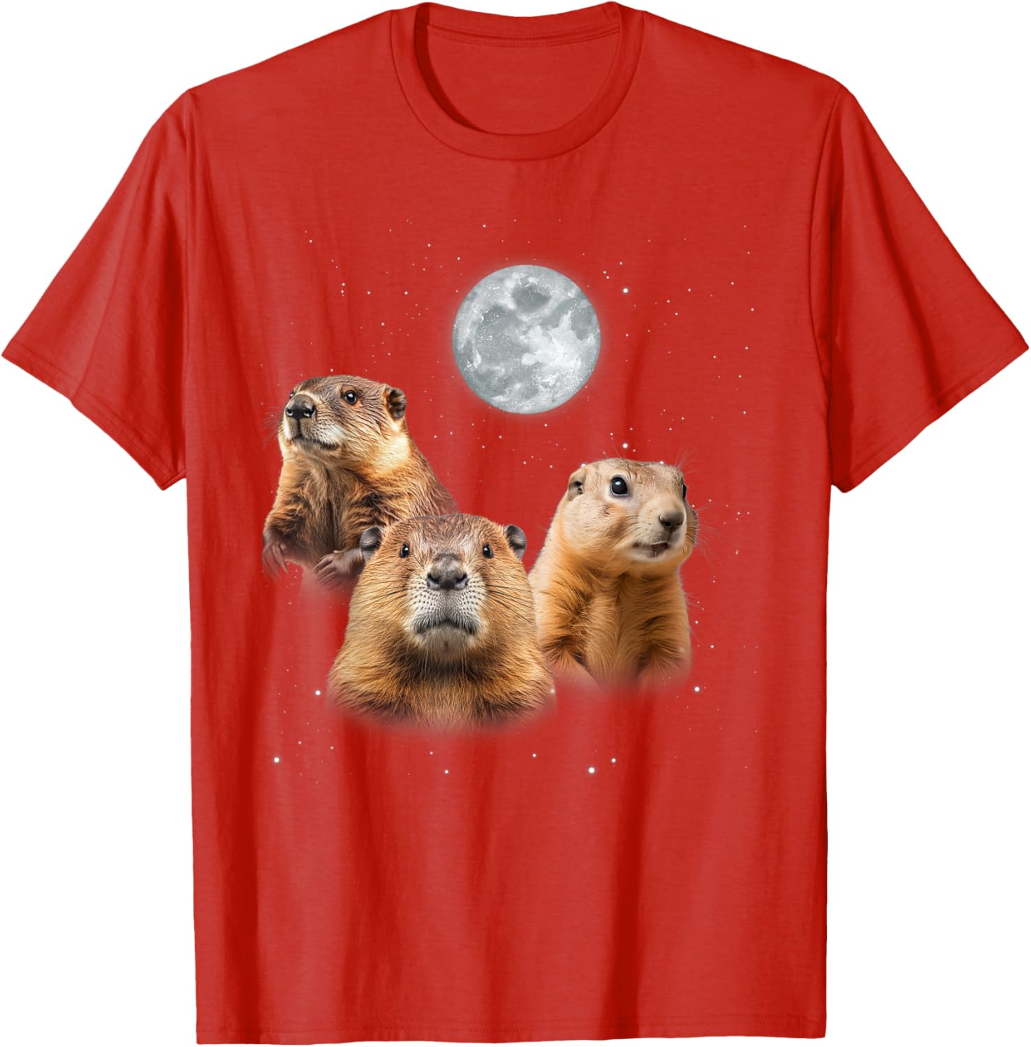 Funny Groundhog Day T-Shirt with Three Groundhog Faces for Fun Celebrations - 17