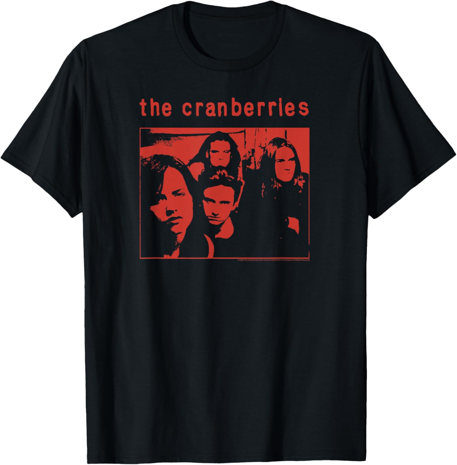The Cranberries 95 World Tour Vintage T-Shirt for Music Fans - 1