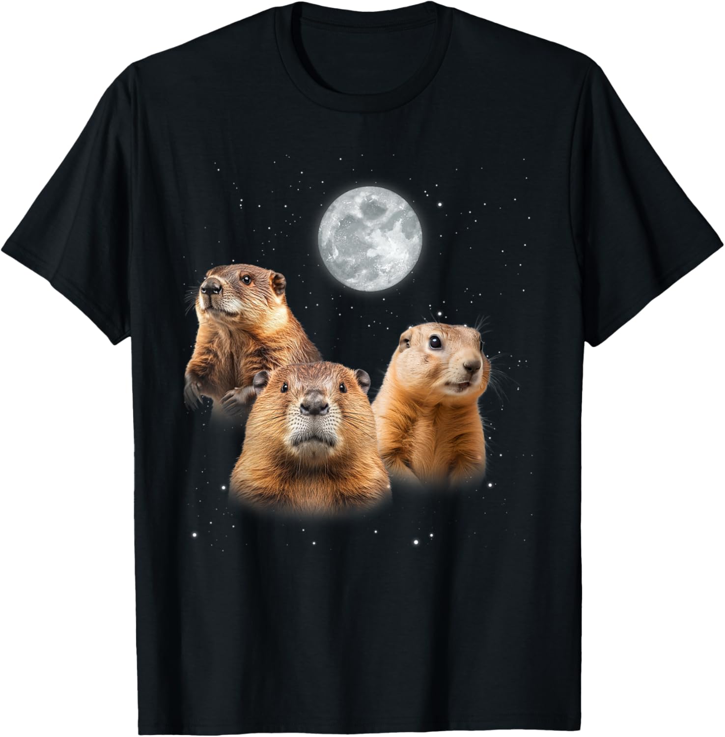 Funny Groundhog Day T-Shirt with Three Groundhog Faces for Fun Celebrations - 14