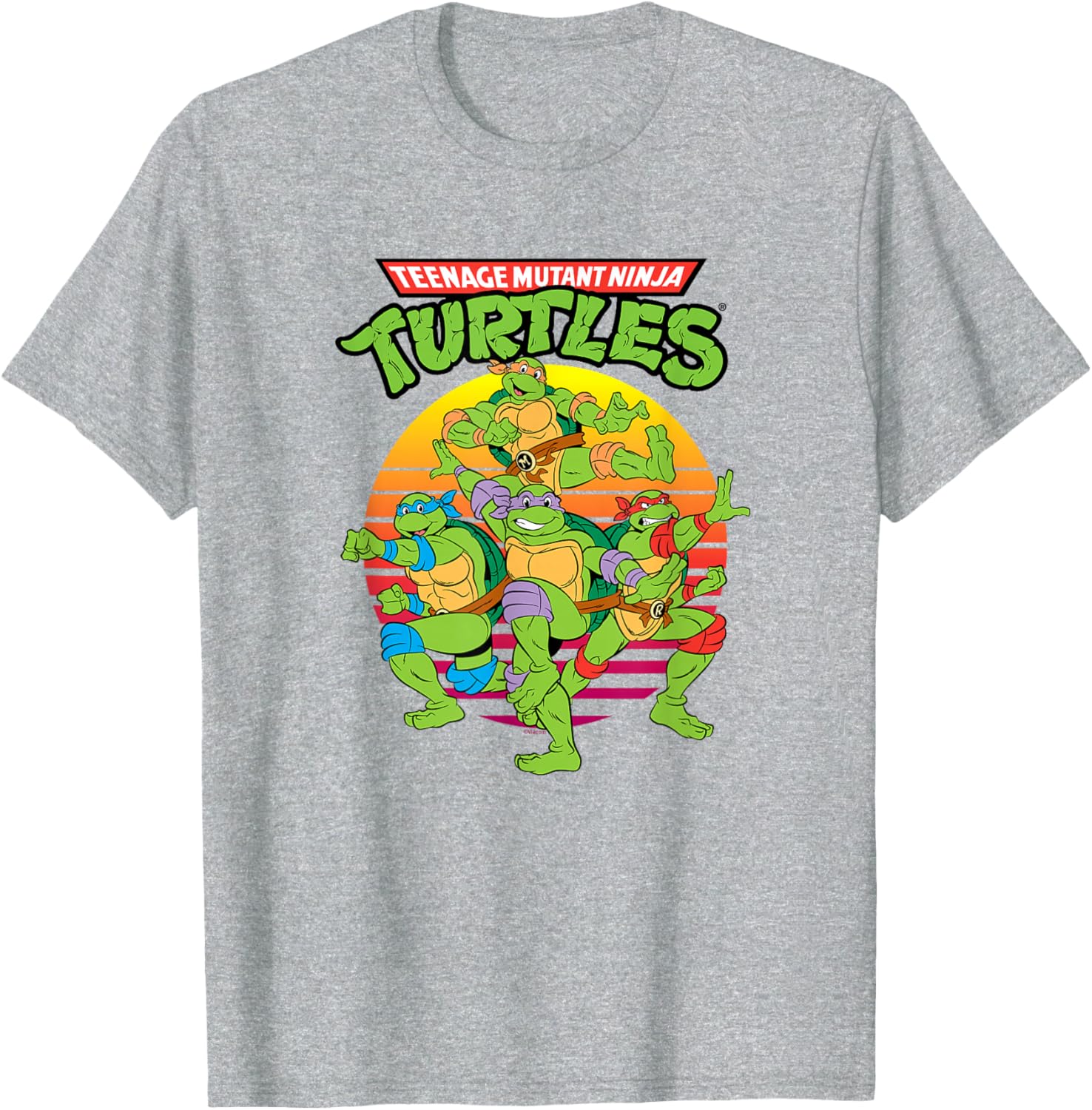 Teenage Mutant Ninja Turtles Group T-Shirt for Kids and Teens - 17